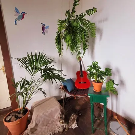 Acoran Family Guests House With Included Morning Yoga Practice 게스트하우스 Firgas